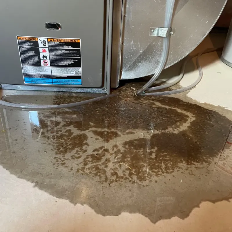 Appliance Leak Cleanup in Brownsburg, IN